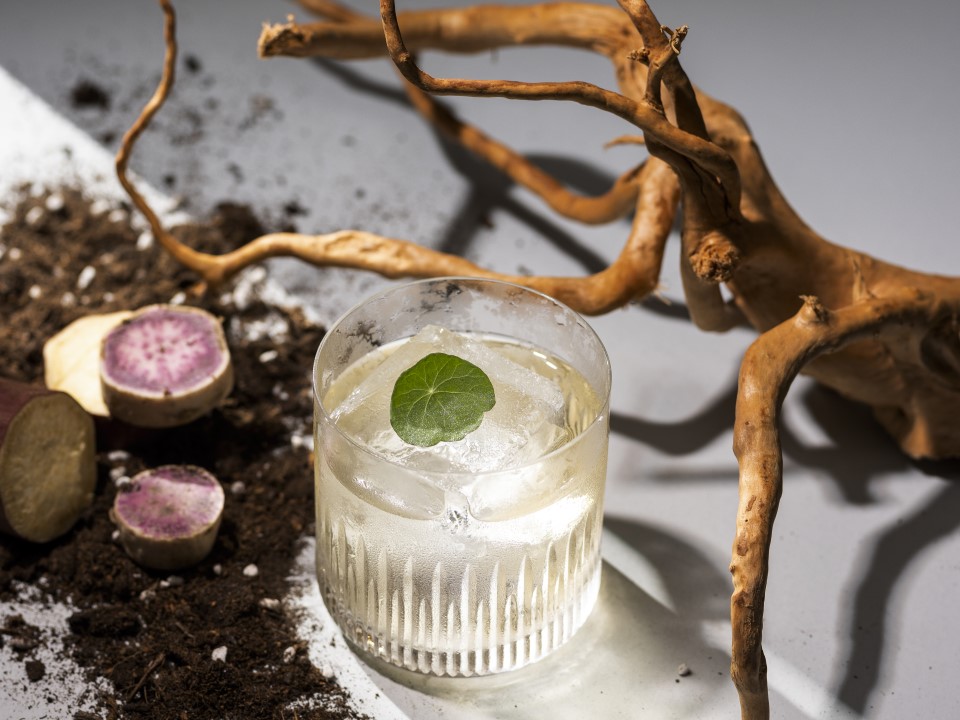 Extensive selection of Japanese spirits for cocktails